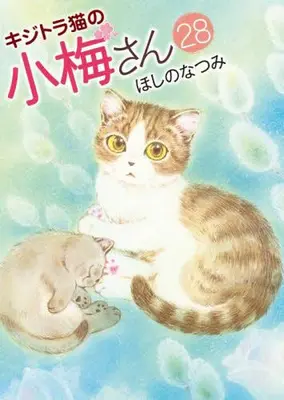 Manga Set Plum Crazy! Tales of A Tiger-Striped Cat (Kijitora Neko no Koume-san) (Vol.1-28) (キジトラ猫の小梅さん)  / Hoshino Natsumi