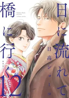 Manga Hi ni Nagarete Hashi ni Iku vol.12 (日に流れて橋に行く 12 (愛蔵版コミックス))  / Hidaka Shoko