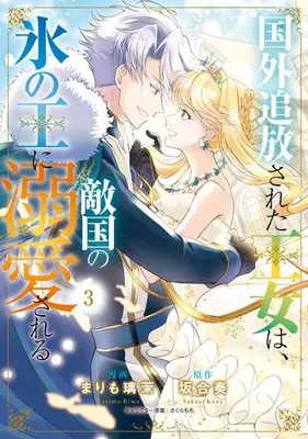 Manga Set Kokugai Tsuihousareta Oujo wa, Tekikoku no Koori no Ou ni Dekiaisareru (Vol.1-3) (国外追放された王女は、敵国の氷の王に溺愛される)  / さくらもち & 坂合奏 & Marimo Rima