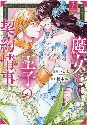 Manga Majo to Ouji no Keiyaku Jouji vol.3 (魔女と王子の契約情事(3))  / ハム太