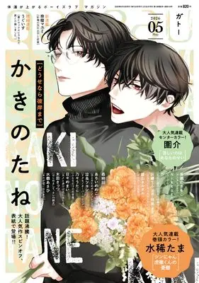 Magazine gateau (gateau2026年5月号) 