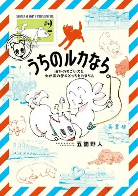 Manga Uchi no Ruka nara. vol.2 (うちのルカなら。 海外のすごい犬とわが家の愛犬どっちもたまらん (2))  / Goka Yajin