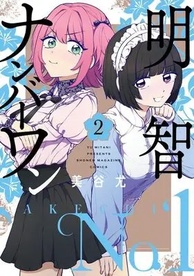 Manga Akechi Number One vol.2 (明智ナンバーワン(2) (KCデラックス))  / Mitani Yuu