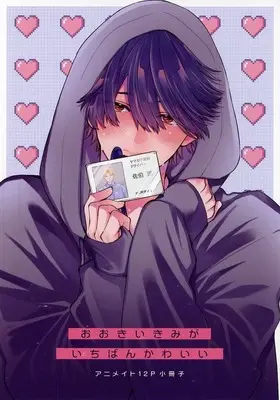 Manga appendix Ookii Kimi ga Ichiban Kawaii (【小冊子】おおきいきみがいちばんかわいい アニメイト12P小冊子)  / ユキハル