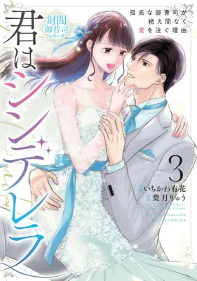 Manga Complete Set Kimi wa Cinderella - Kokou na Onzoushi ga Taemanaku Ai wo Sosogu Riyuu (Vol.1-3) (君はシンデレラ 〜孤高な御曹司が絶え間なく愛を注ぐ理由〜【財閥御曹司シリーズ】)  / Ichikawa Yuka
