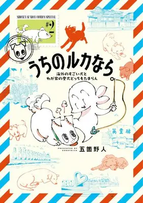 Manga Set Uchi no Ruka nara. (Vol.1-2) (うちのルカなら。 海外のすごい犬とわが家の愛犬どっちもたまらん)  / Goka Yajin