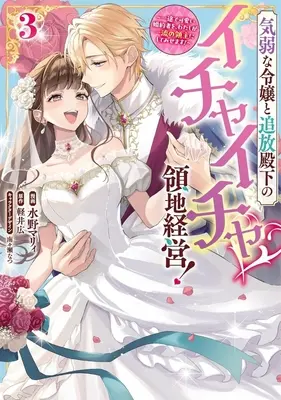 Manga Kiyouwa na Reijou to Tsuihou Denka no Ichaicha Ryouchi Keiei! - Ichizu de Kawaii Konyakusha wo, Watashi ga Ichiryuu no Ryoushu ni shite Misemasu! vol.3 (気弱な令嬢と追放殿下のイチャイチャ領地経営!(3))  / 水野マリィ
