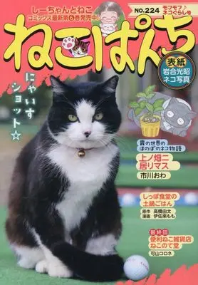 Manga Neko Panch (ねこぱんち モフモフ♪ネコぐらし号 (にゃんCOMI))  / Anthology