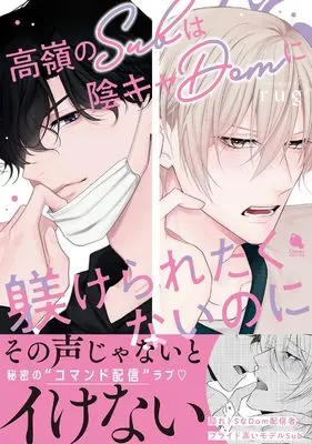 Manga Takane no Sub wa Inkya Dom ni Shitsukeraretakunainoni (高嶺のSubは陰キャDomに躾けられたくないのに (チルシェコミックス))  / rug