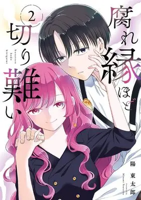 Manga Kusare-en hodo Kirigatai vol.2 (腐れ縁ほど切り難い(2)(完) (ガンガンコミックスJOKER))  / Minami Toutarou