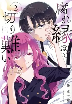 Manga Kusare-en hodo Kirigatai vol.2 (腐れ縁ほど切り難い(2))  / Minami Toutarou