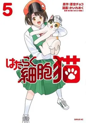 Manga Set Hataraku Saibou Neko (Vol.1-5) (はたらく細胞 猫)  / Kairemeku