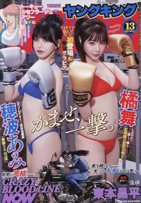Magazine YOUNG KING (YOUNG KING(ヤングキング) 2026年 7/1 号 [雑誌]) 