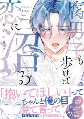 Manga Fudanshi mo Arukeba Koi ni Numaru (腐男子も歩けば恋に沼る (B's-LOVEY COMICS))  / Akai Shirafu