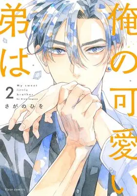 Manga Ore no Kawaii Otouto wa (Sagano Hiwo) vol.2 (俺の可愛い弟は 2 (フルールコミックス))  / Sagano Hiwo