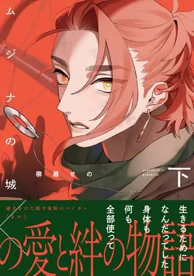 Manga Mujina no Shiro vol.2 (ムジナの城（下） (G-Lish Comics))  / Yanase Seno