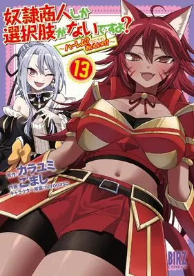 Manga Dorei Shounin Shika Sentakushi ga Nai Desu yo? - Harem? Nani Sore Oishii no? vol.13 (奴隷商人しか選択肢がないですよ?: ~ハーレム?なにそれおいしいの?~ (13) (バーズコミックス))  / Gomashi & Kara Yumi & neropaso