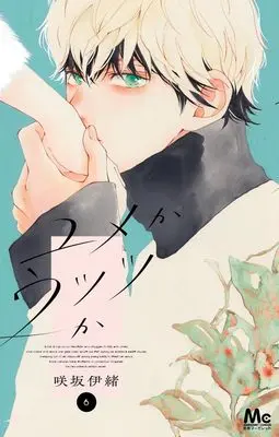 Manga Yume ka Utsutsu ka vol.6 (ユメかウツツか 6 (マーガレットコミックス))  / Sakisaka Io
