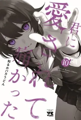 Manga Kimi ni Aisarete Itakatta vol.10 (君に愛されて痛かった 10 (10) (ヤングチャンピオン・コミックス))  / Shiruka Bakaudon