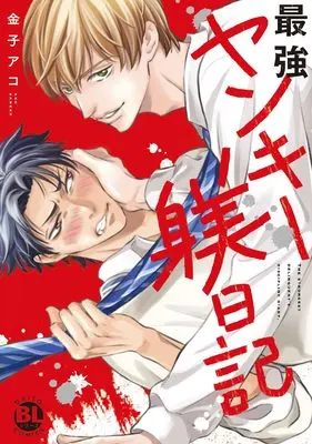 Manga Saikyou Yankee Shitsuke Nikki (最強ヤンキー躾日記 (DaitoComics))  / Kaneko Ako
