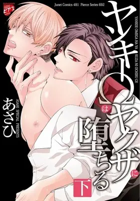 Manga Set Yankii Omega wa Yakuza ni Ochiru (2) (セット)ヤンキーΩはヤクザに堕ちる 上下巻)  / Asahi (あさひ)