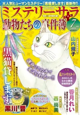 Magazine MYSTERY sara (MYSTERY sara 2026年7月号) 
