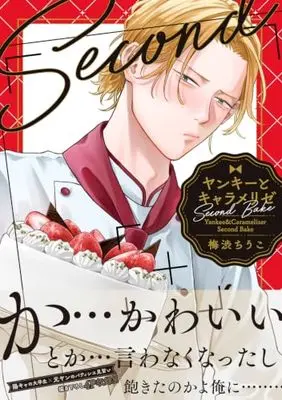 Manga Yankee to Carameliser (ヤンキーとキャラメリゼ Second Bake (B's-LOVEY COMICS))  / 梅渋 ちうこ