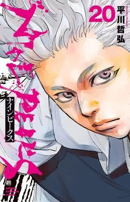 Manga NINE PEAKS vol.20 (ナインピークス NINE PEAKS 20 (20) (少年チャンピオン・コミックス))  / Hirakawa Tetsuhiro