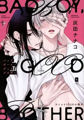 Manga appendix Bad Boy, Good Brother (【小冊子】バッドボーイ・グッドブラザー アニメイト限定セット特典小冊子)  / Haida Nanako