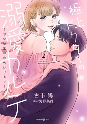 Manga Set Gokujou Doctor no Dekiai Karute - Amai Himitsu wa Koi no Hajimari - (Vol.1-2) (極上ドクターの溺愛カルテ〜甘い秘密は恋のはじまり〜)  / Furuichi Tori