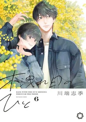 Manga Set Komorebi no Hito (Vol.1-6) (木洩れ日のひと)  / Kawabata Shiki