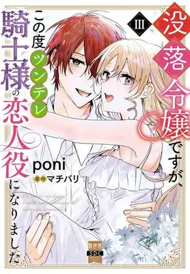 Manga Set Botsuraku Reijou desu ga, Kono Tabi Tsundere Kishi-sama no Koibito Yaku ni narimashita (Vol.1-3) (没落令嬢ですが、この度ツンデレ騎士様の恋人役になりました)  / poni