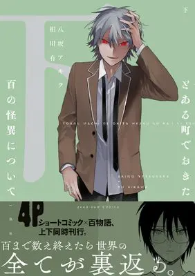 Manga Toaru Machi de Okita Hyaku no Kaii ni Tsuite vol.2 (とある町でおきた百の怪異について(下) (ZERO-SUMコミックス))  / 八坂 アキヲ・相川 有