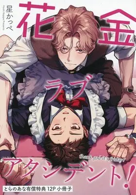Manga appendix Hanakin Love Accident! (【小冊子】花金ラブアクシデント! とらのあな限定有償特典小冊子)  / 星かっぺ