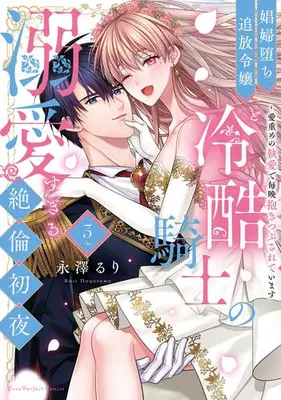 Manga Complete Set Shoufu Ochi Tsuihou Reijou to Reikoku Kishi no Dekiai Sugiru Zetsurin Shoya (Vol.1-3) (娼婦堕ち追放令嬢と冷酷騎士の溺愛すぎる絶倫初夜 〜愛重めの執愛で毎晩抱きつぶされています)  / Nagasawa Ruri