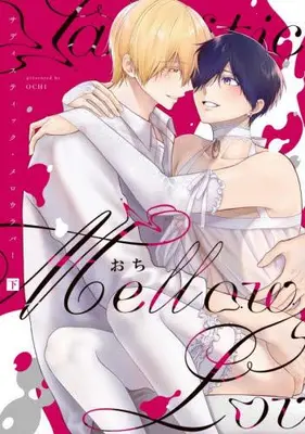 Manga Complete Set Sadistic Mellow Lover (Vol.1-2) (サディスティック・メロウラバー)  / Ochi