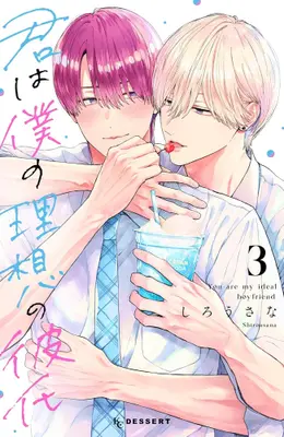 Manga Set Kimi wa Boku no Risou no Kareshi (Vol.1-3) (君は僕の理想の彼氏)  / しろうさな