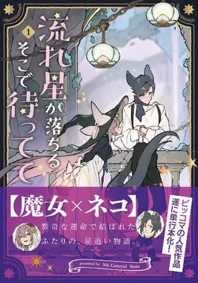 Manga Wait Where the Shooting Star Falls vol.1 (流れ星が落ちるそこで待ってて　１)  / Mr.General Store