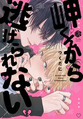 Manga Misaki-kun kara Nigerarenai (岬くんから逃げられない (Tulle　Comics))  / つくだに