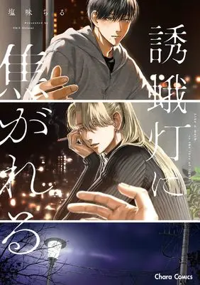 Manga Yuugatou ni Kogareru (誘蛾灯に焦がれる (Charaコミックス))  / Shiomichiru