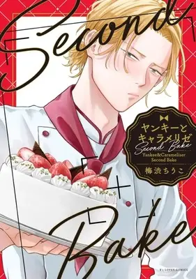 Manga Yankee to Carameliser (ヤンキーとキャラメリゼ Second Bake)  / 梅渋ちうこ