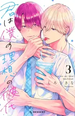 Manga Kimi wa Boku no Risou no Kareshi vol.3 (新書判)君は僕の理想の彼氏(3))  / しろうさな