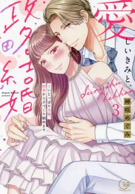 Manga Set Itoshii Kimi to, Seiryaku Kekkon - Ijippari Fuufu, Shoya kara Kozukuri Hajimemasu (Vol.1-3) (愛しいきみと、政略結婚〜いじっぱり夫婦、初夜から子づくり始めます)  / Kanzaki Megumi