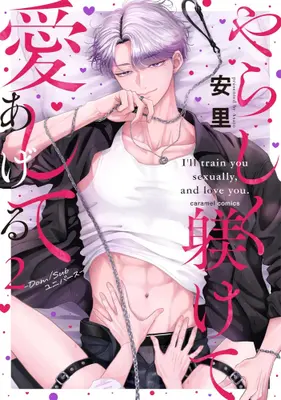 Manga Complete Set Yarashiku Shitsuke Kete Itoshite Ageru -Dom/Sub Universe- (Vol.1-2) (やらしく躾けて愛してあげる -Dom/Subユニバース-)  / 安里