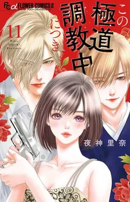 Manga Set Kono Gokudou Choukyouchuu ni Tsuki (Vol.1-11) (この極道調教中につき)  / Yagami Rina
