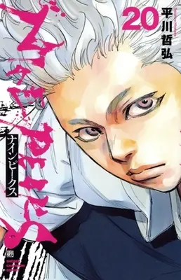 Manga NINE PEAKS vol.20 (ナインピークス NINE PEAKS(20))  / Hirakawa Tetsuhiro
