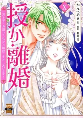Manga Sazuka Rikon vol.10 (授か離婚(Ⅹ))  / Kanbe Akira