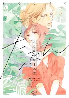 Manga Tabun koko kara hajimaru koi vol.3 (たぶんここから始まる恋　３)  / Nemu Youko