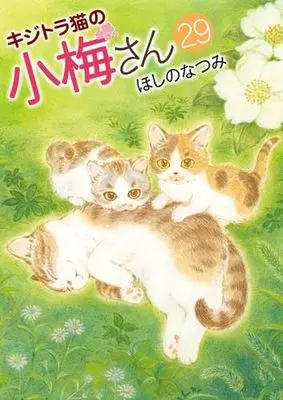 Manga Set Plum Crazy! Tales of A Tiger-Striped Cat (Kijitora Neko no Koume-san) (29) (キジトラ猫の小梅さん　コミック　新品　1-29巻セット (少年画報社))  / Hoshino Natsumi
