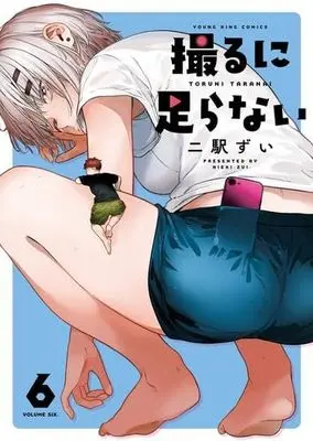 Manga Set Toru ni Taranai (6) (撮るに足らない　コミック　新品　1-6巻セット (少年画報社))  / Nieki Zui